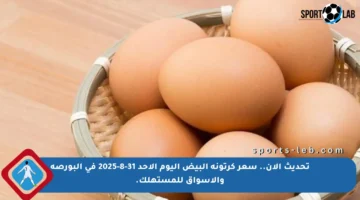 تحديث الآن.. سعر كرتونة البيض اليوم الأحد 31-8-2025 في البورصة والأسواق للمستهلك.